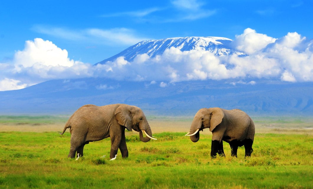 2-Day Amboseli Safari From Nairobi