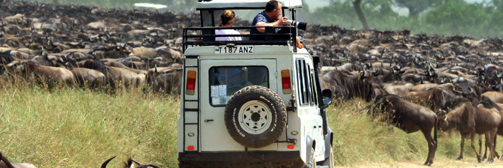 1-Day Lake Nakuru Safari From Nairobi