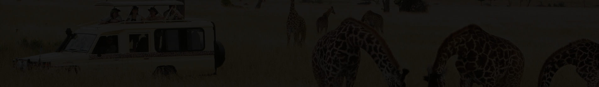 Tsavo safari in Kenya