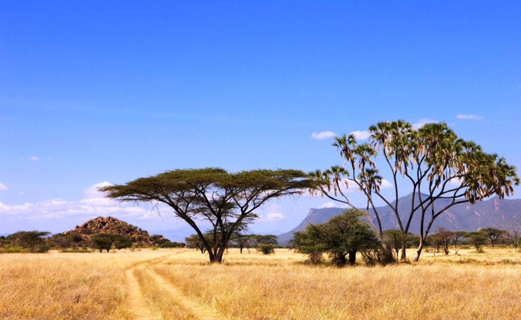 1-Day Tsavo East Safari From Mombasa