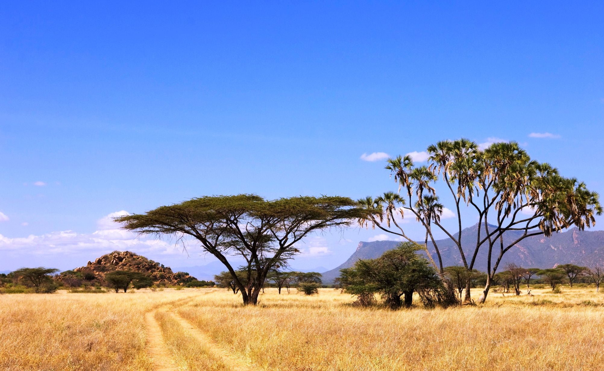 1-Day Tsavo East Safari From Mombasa