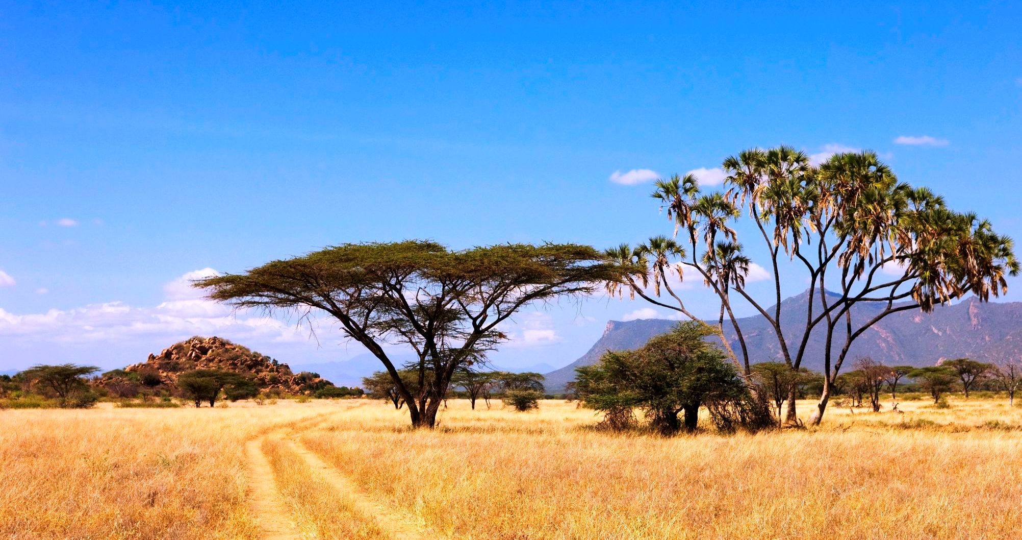 3-Day Tsavo West and Amboseli Safari From Nairobi