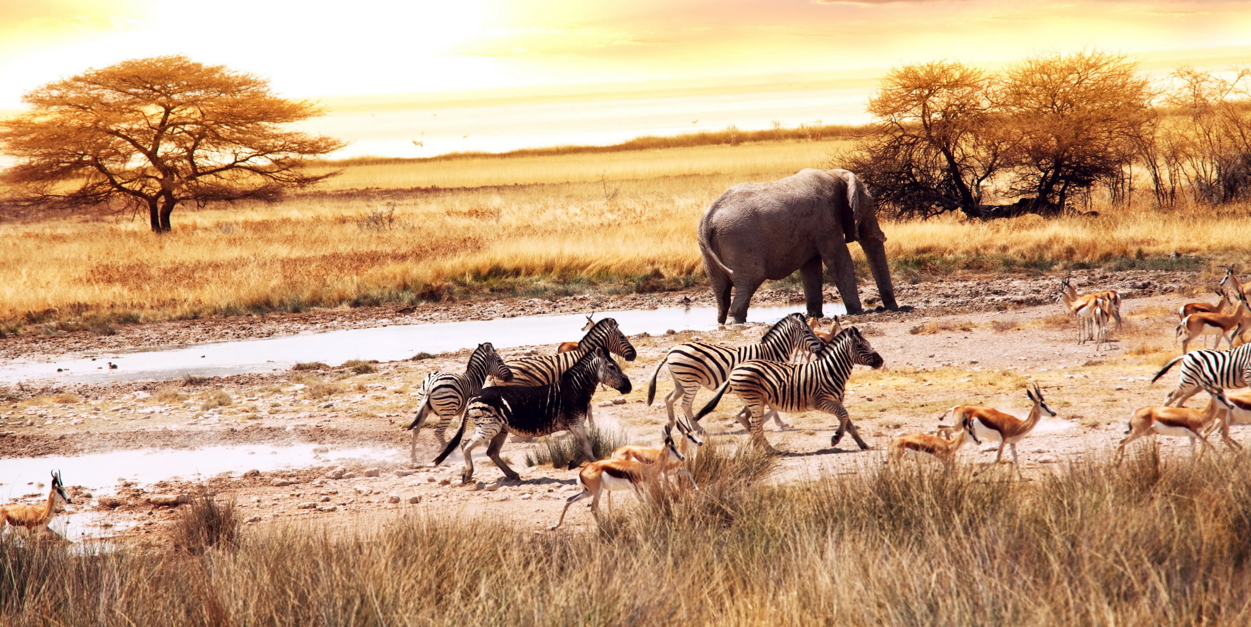 2-Day Tsavo West Safari From Diani Beach