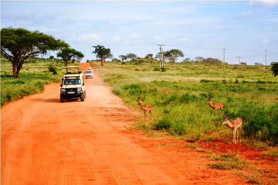 3-Day Tsavo East and Ngutuni Safari From Mombasa