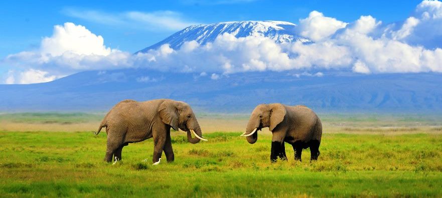 5-Day Amboseli Tsavo West and Tsavo East Safari From Nairobi