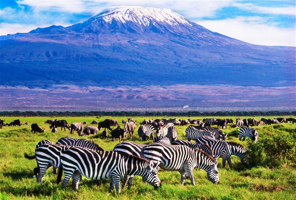 Amboseli safari in Kenya