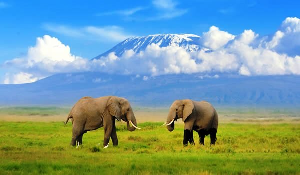 4-Day Amboseli Safari From Nairobi