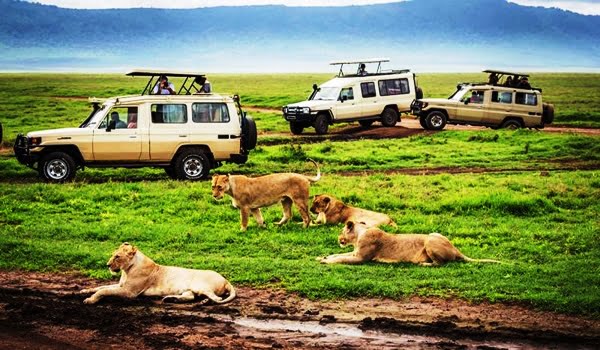 2-Day Tsavo East Safari From Diani Beach