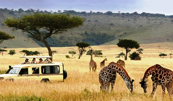 5-Day Tsavo West Taita Hills and Tsavo East Safari From Mombasa