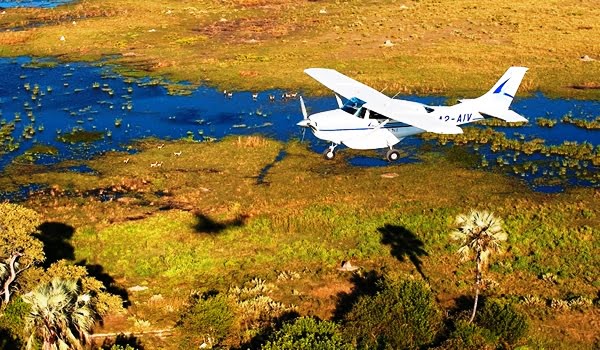 2-Day Ol Pejeta Conservancy Safari From Nanyuki