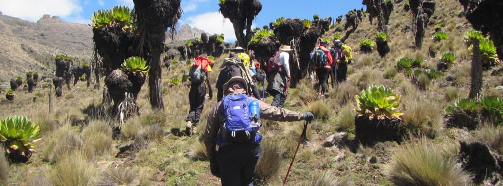 5 Days Sirmon route down chogoria Mount Kenya Hikings