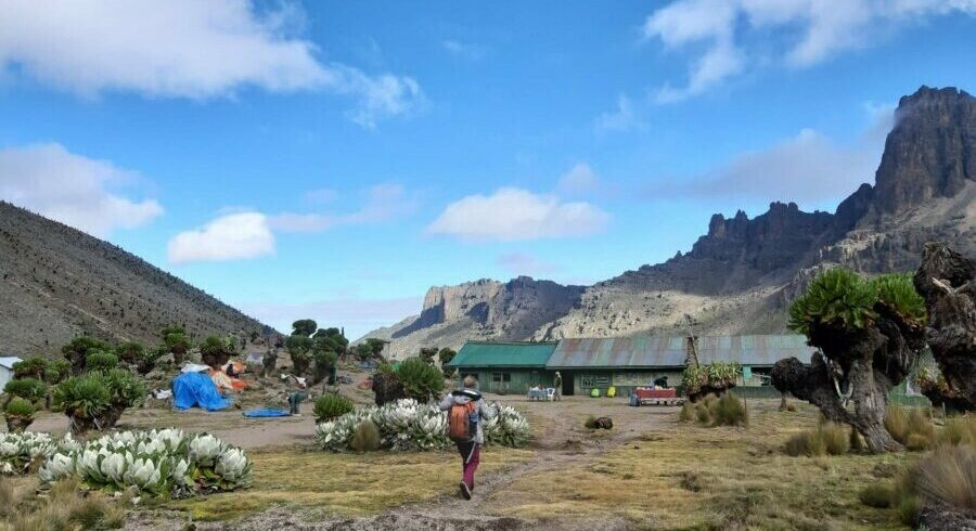 Mt. Kenya Sirimon Route Hike | 3-Day Trekking Adventure