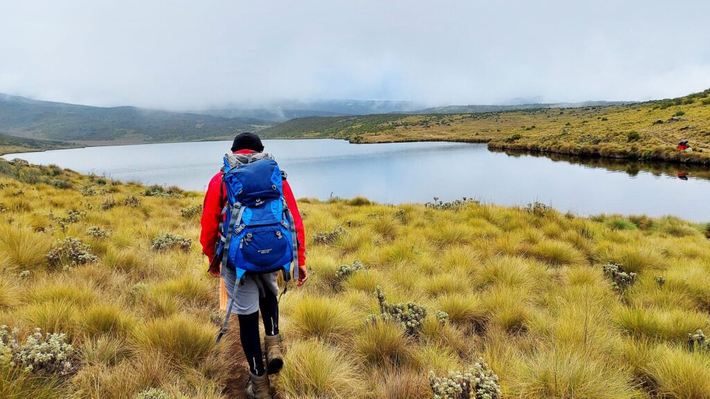 3-Day Mount Kenya Hiking Package to Lake Ellis & Mugi Hill