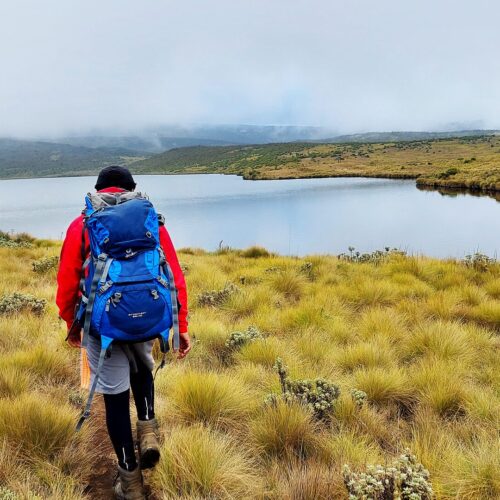 3-Day Mount Kenya Hiking Package to Lake Ellis & Mugi Hill