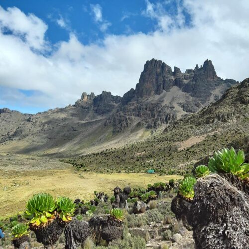 4-Day Mount Kenya Tour from Nanyuki via Sirimon & Likii North