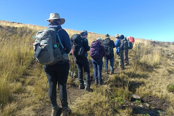 Local Mount Kenya guides leading a guided climbing and trekking tour