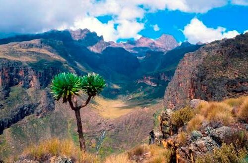 5-Day Mount Kenya Tour via Naro Moru to Chogoria