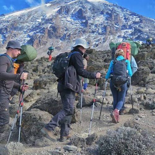 7-Day Guided Mount Kenya Peak Circuit & Summit Tour