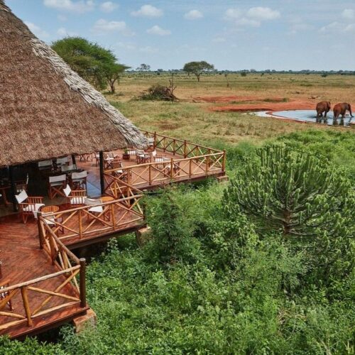 2-Day Ngutuni Safari From Mombasa