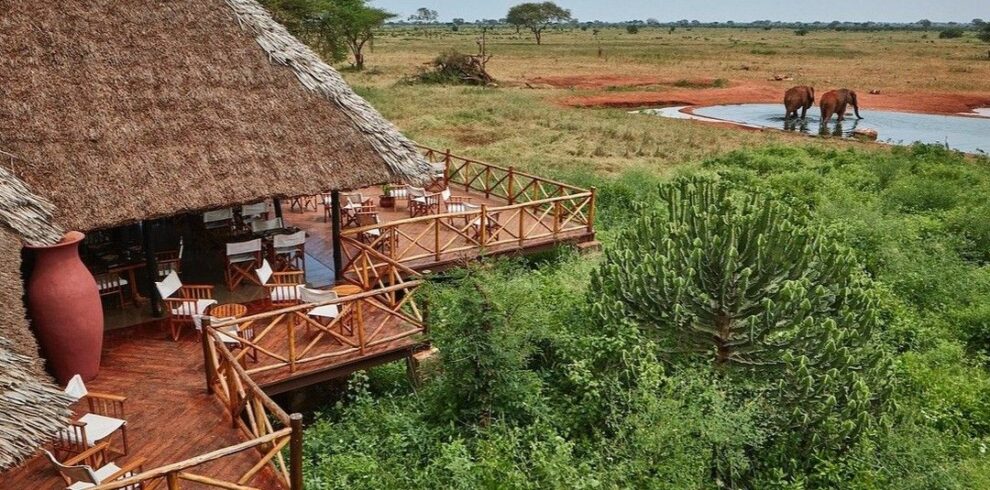 2-Day Ngutuni Safari From Mombasa