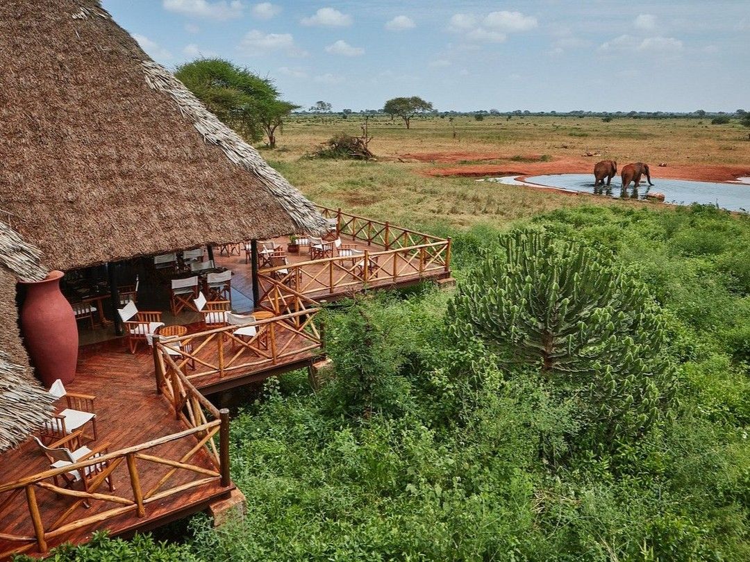 2-Day Ngutuni Safari From Mombasa