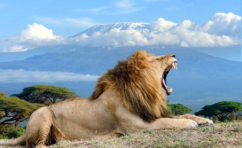 3-Day Amboseli Safari From Nairobi
