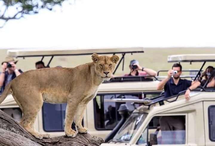 3-Day Masai Mara Safari From Nairobi