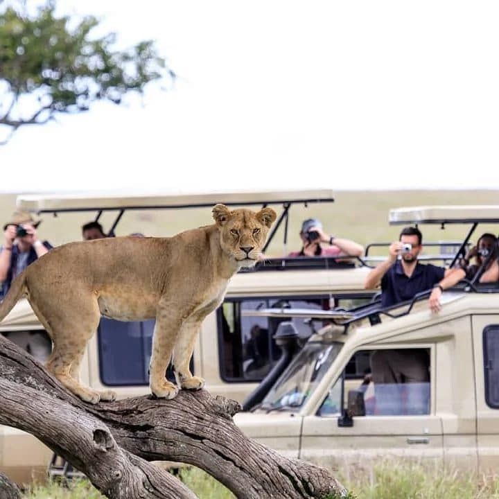3-Day Masai Mara Safari From Nairobi
