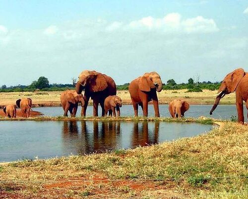 3-Day Tsavo East and Tsavo West Safari From Mombasa