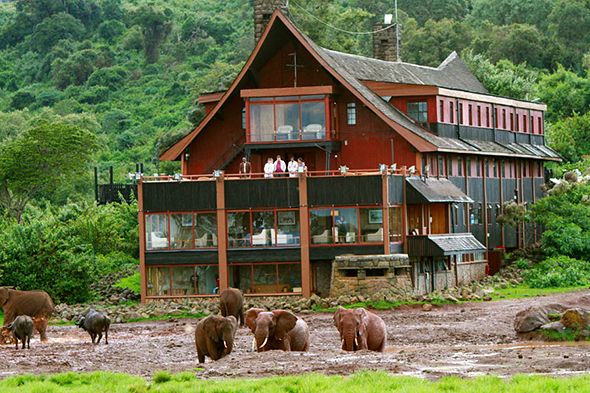 5-Day Aberdare, Lake Nakuru & Masai Mara Safari From Nairobi