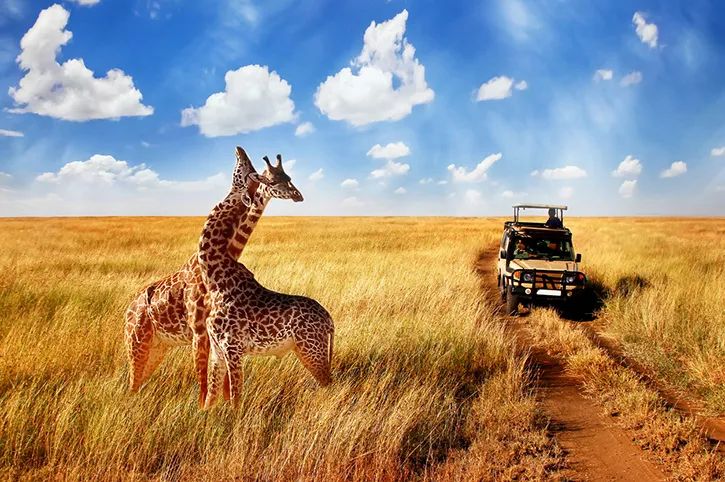 5-Day Ol Pejeta, Lake Naivasha & Masai Mara Safari From Nairobi